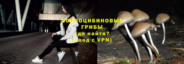 марки nbome Карпинск