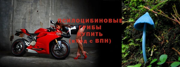 прущая мука Тосно
