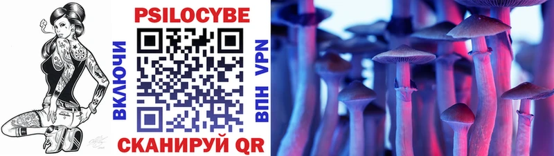Галлюциногенные грибы Psilocybine cubensis  Санкт-Петербург 